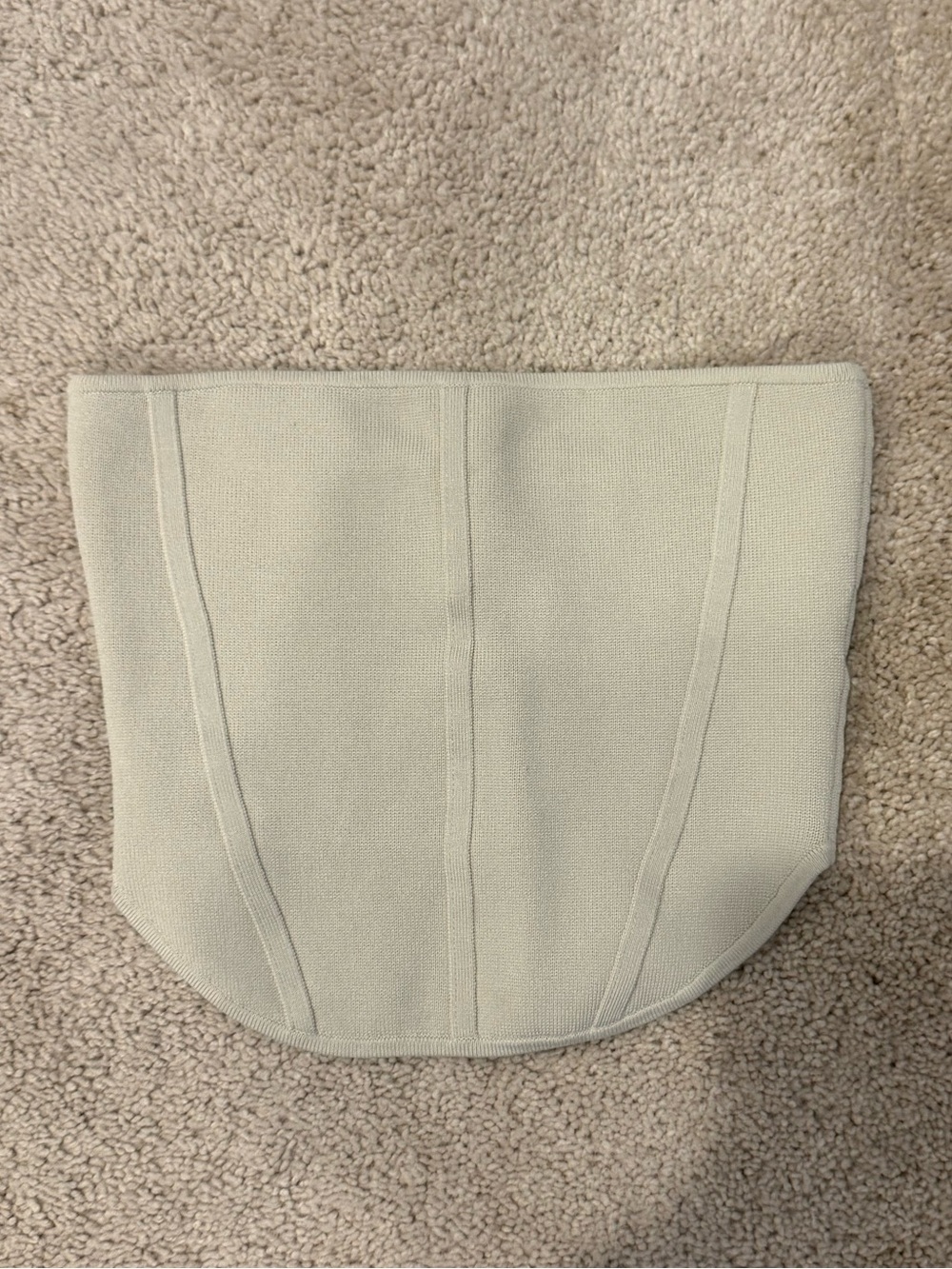 Aritzia bustier top (babaton)